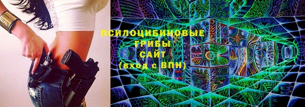 дурь Алексеевка